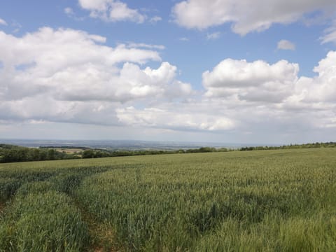 Cottage | Miscellaneous