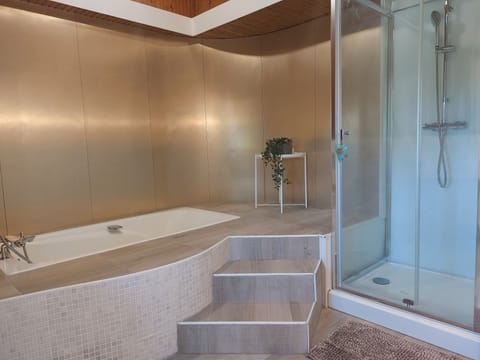 Family Suite, 2 Bedrooms | Bathroom | Shower, hydromassage showerhead, free toiletries, hair dryer