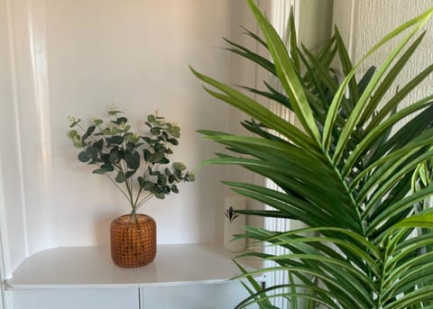 Apartment, 2 Bedrooms, Non Smoking | Living area | 43-inch Smart TV with digital channels, TV, Netflix