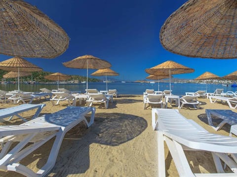 Private beach, sun loungers, beach umbrellas