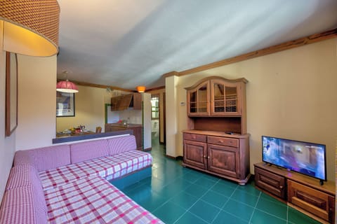 21-inch flat-screen TV with digital channels, TV