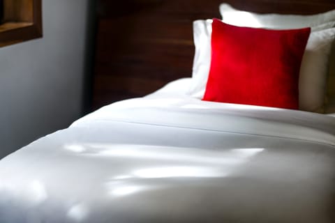 Deluxe Twin Room | Frette Italian sheets, premium bedding, down comforters, pillowtop beds