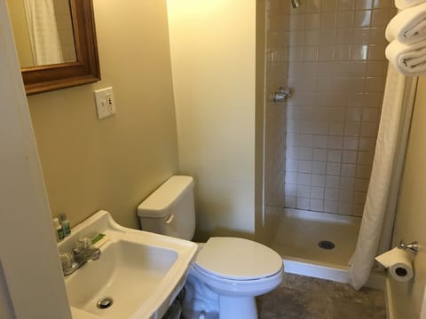 Combined shower/tub, free toiletries, hair dryer, towels