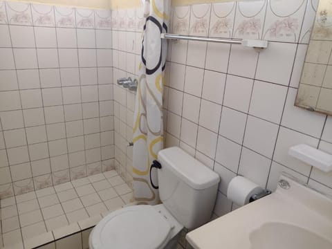 Standard Double Room | Bathroom | Shower, free toiletries, towels, soap