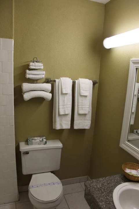 Combined shower/tub, free toiletries, hair dryer, towels