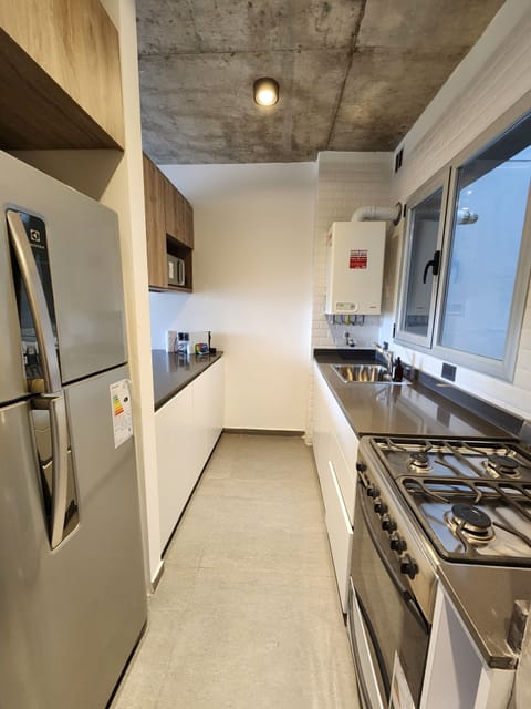 Deluxe Apartment | Private kitchen | Full-size fridge, microwave, oven, dishwasher