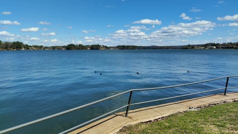 Lake view