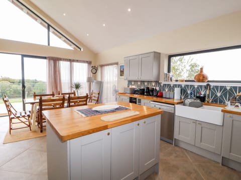 Fridge, dishwasher, electric kettle, toaster