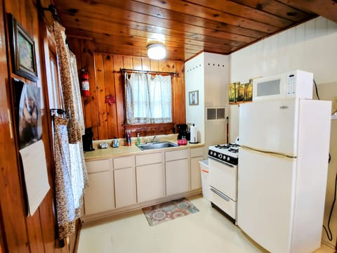 Cabin | Private kitchen | Fridge, microwave, oven, stovetop