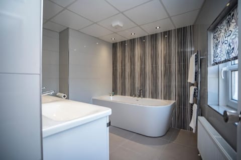 Deluxe Suite | Bathroom | Free toiletries, hair dryer, towels