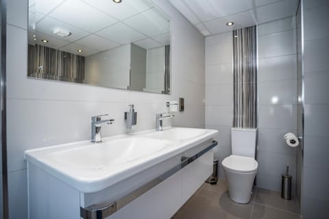 Deluxe Suite | Bathroom | Free toiletries, hair dryer, towels