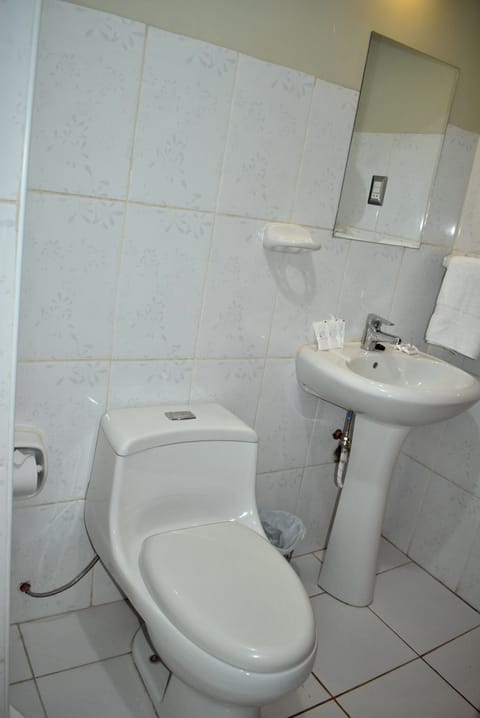 Standard Double Room, City View | Bathroom | Shower, rainfall showerhead, hair dryer, towels