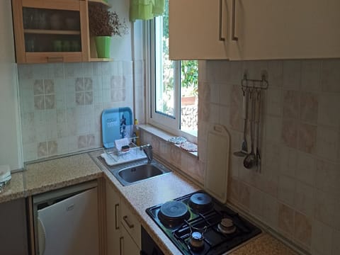 Double Room (Deluxe Double Room with Terrace and P) | Private kitchenette | Fridge