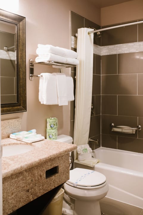 Family Suite | Bathroom | Combined shower/tub, free toiletries, hair dryer, towels