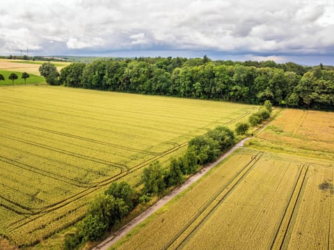 Land view from property