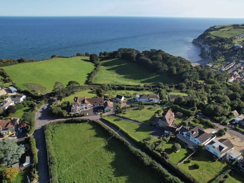 Cottage | Aerial view