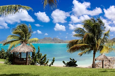 On the beach, white sand, free beach cabanas, sun loungers