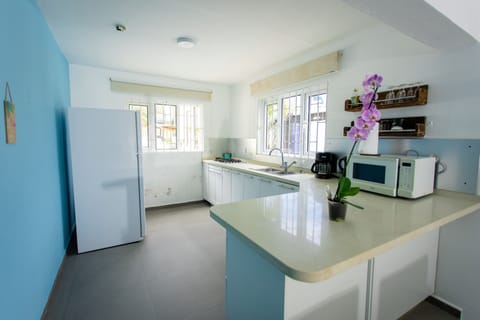 Family Apartment | Private kitchen | Fridge, microwave, coffee/tea maker, electric kettle