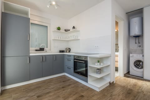 City Apartment (A1) | Private kitchen | Fridge, microwave, oven, stovetop