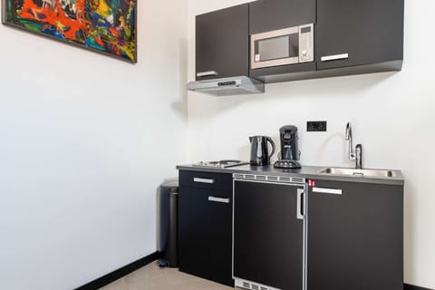 Deluxe Studio | Private kitchen | Full-size fridge, freezer, dining tables