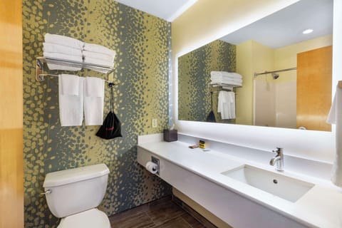 Suite, 2 Queen Beds, Non Smoking (Larger Room;with Sofabed) | Bathroom | Free toiletries, hair dryer, towels