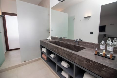 MINI SUITE | Bathroom | Shower, hair dryer, towels