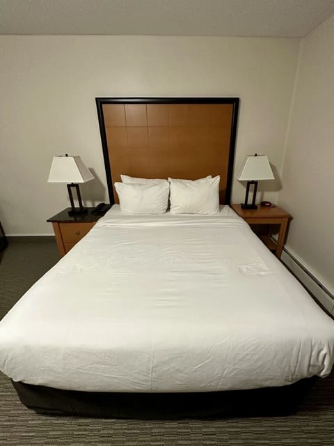 Deluxe Single Room, 1 King Bed | Premium bedding, pillowtop beds, blackout drapes, free WiFi