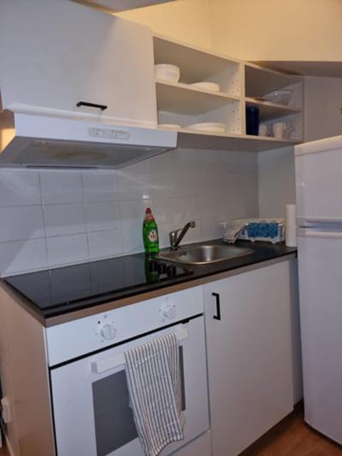 Apartment | Private kitchen | Fridge, microwave, oven, stovetop