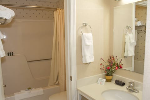 Combined shower/tub, hair dryer, towels