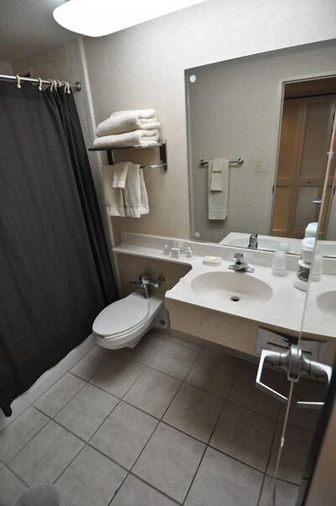 Free toiletries, hair dryer, towels