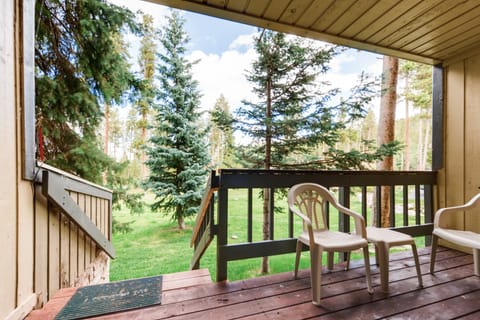 Condo, 1 Bedroom Breckenridge Business License No. 40466 | Terrace/patio