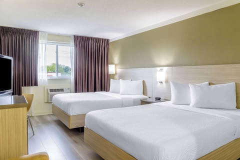 Premium bedding, individually decorated, individually furnished, desk