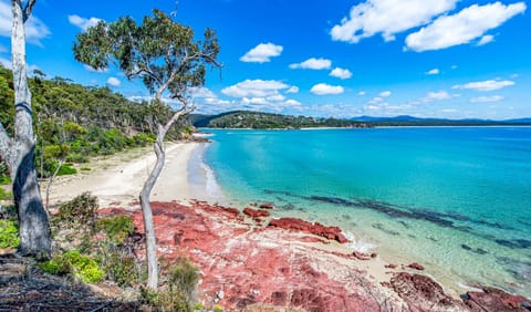 Beach nearby, white sand