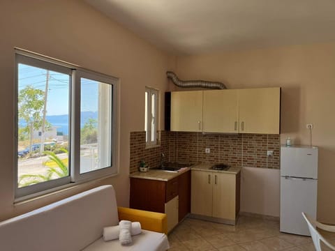 Family Apartment, 1 Bedroom, Kitchen, Oceanfront | Private kitchen | Full-size fridge, stovetop, cookware/dishes/utensils, cleaning supplies