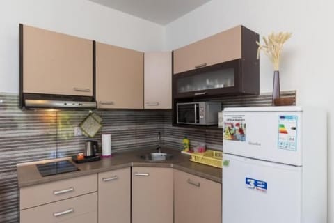 Apartment (Comfort One Bedroom Apartment with Te) | Private kitchenette | Fridge