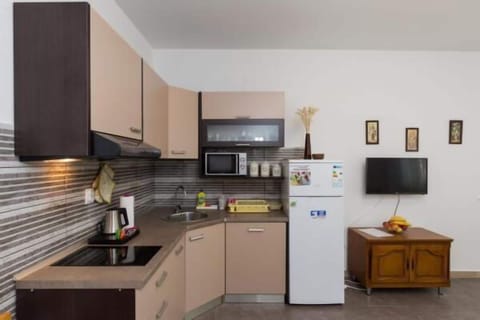 Apartment (Comfort One Bedroom Apartment with Te) | Private kitchenette | Fridge