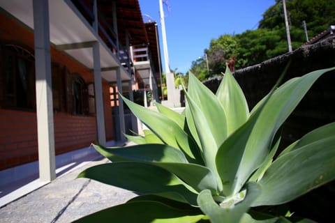 Standard Triple Room | Garden view