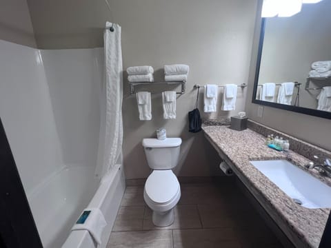 Combined shower/tub, hair dryer, towels