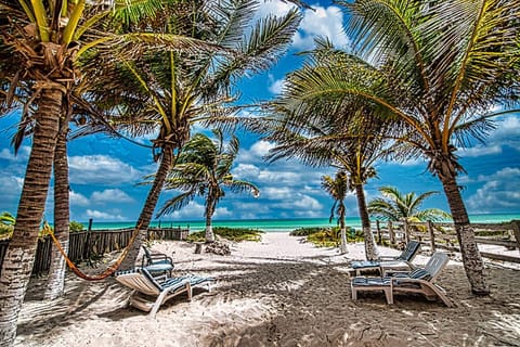 Apartment, 2 Bedrooms, Smoking, Patio | Beach