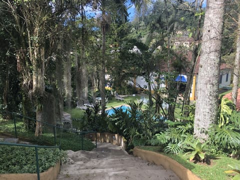 Standard Suite | View from room