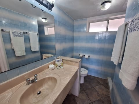 Deluxe Single Room, 1 King Bed | Bathroom | Shower, hair dryer, towels, soap