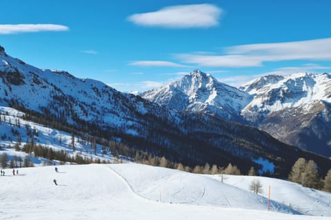 Snow and ski sports