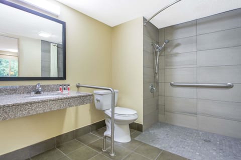 Room, 1 Queen Bed, Accessible, Non Smoking | Bathroom shower