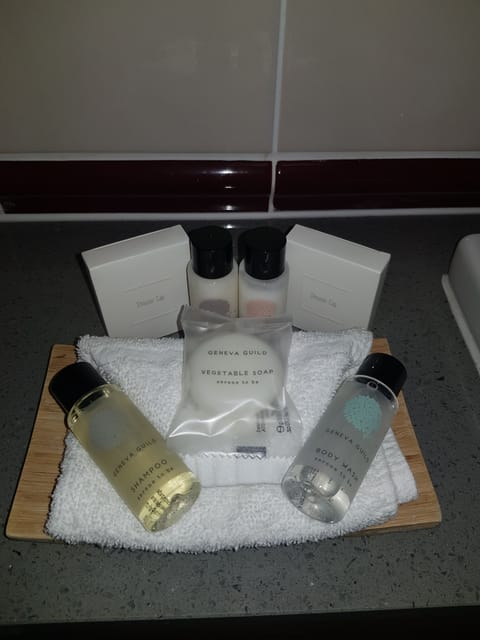 Combined shower/tub, free toiletries, hair dryer, towels