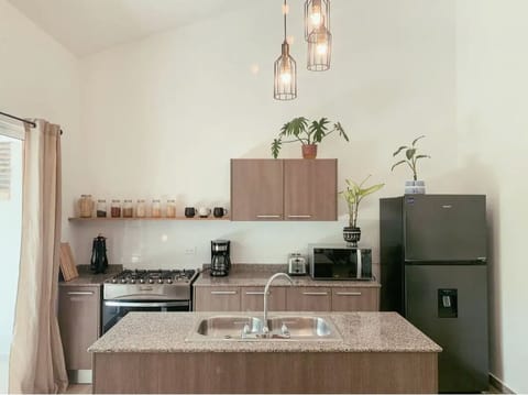 Deluxe Apartment, 1 Bedroom | Private kitchen