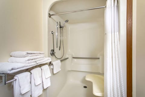 Room, 1 Queen Bed, Accessible, Non Smoking (Mobility Accessible) | Bathroom shower