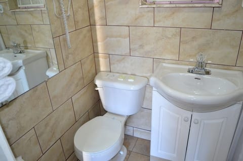 Combined shower/tub, free toiletries, hair dryer, towels