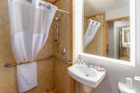 Combined shower/tub, free toiletries, hair dryer, towels