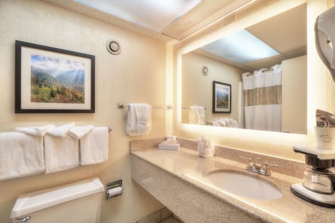 Standard Room, 2 Queen Beds, Mountainside | Bathroom | Combined shower/tub, free toiletries, hair dryer, towels