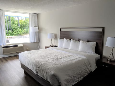 Room, 1 King Bed, Lake View | Egyptian cotton sheets, premium bedding, blackout drapes